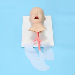 Modelo de Maniquim Médico de PVC de Alta Qualidade J4A para Treinamento Avançado de Intubação de Via Aérea em Crianças e Adultos com Tubo Nasogástrico - Product Image 1