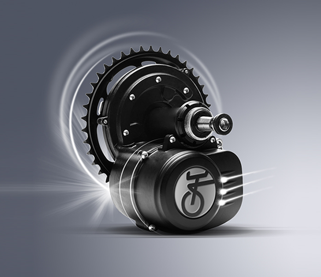 24v Tsdz2 Mid Motor for Electric Bike