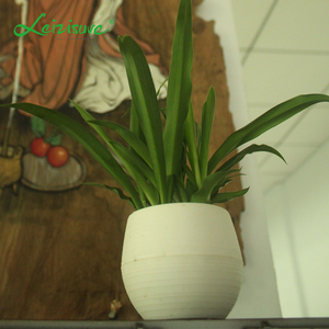 Mini Vase <span class=keywords><strong>de</strong></span> bonsaï <span class=keywords><strong>de</strong></span> petite taille pour plante, <span class=keywords><strong>Pot</strong></span> <span class=keywords><strong>de</strong></span> plante artificiel intelligent d'intérieur, petite Table <span class=keywords><strong>de</strong></span> fleurs pour la hydroponique, bon marché, 1 pièce - Product Image 5