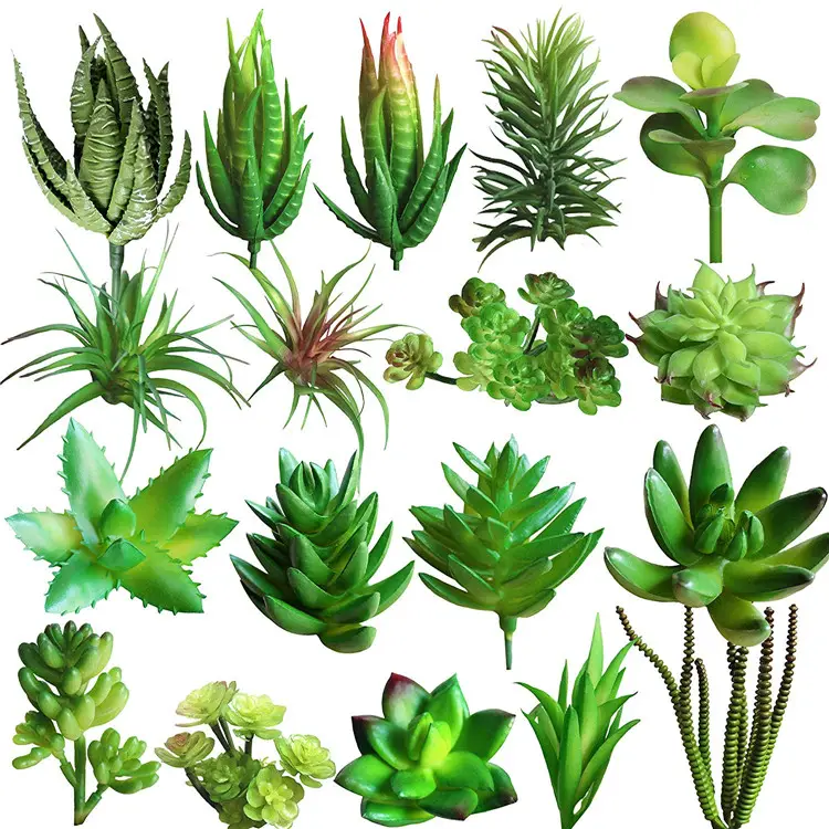 18 PCS Faux Künstliche Mini Sukkulenten Ungetopfte Strukturierte Aloe Echeveria Agave Sedum Luft pflanzen Kaktus