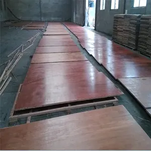 FSC certificated Shipping container flooring plywood (AQIS,Fumigation certificate)