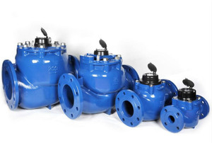 <span class=keywords><strong>1.5</strong></span>インチから8インチのウォルトマンドライ & リムーバブル水道メーターCLASSC - Product Image 2