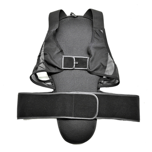 <span class=keywords><strong>Protector</strong></span> trasero de esquí EVA, personalizado, barato, certificado CE - Product Image 4