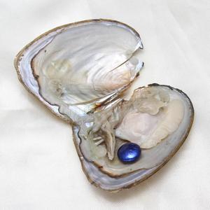 Commercio all'ingrosso di alta qualità acqua dolce 10-11mm perle naturali sottovuoto ostriche di perle - Product Image 5