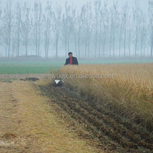 <span class=keywords><strong>The</strong></span> hot selling of small farm equipment - Product Image 2