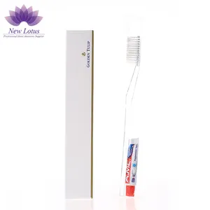 Wholesale Cheap Dental Kit Disposable Hotel Toothbrush And Toothpaste