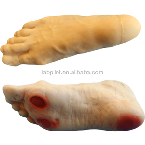 Kualitas tinggi Kaki Diabetik Keperawatan Simulator Model - Product Image 1