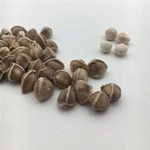 Sampel Gratis Biji Moringa PKM2 Bubuk Biji Moringa Kualitas Ekspor dalam Kemasan Kantong - Product Image 6
