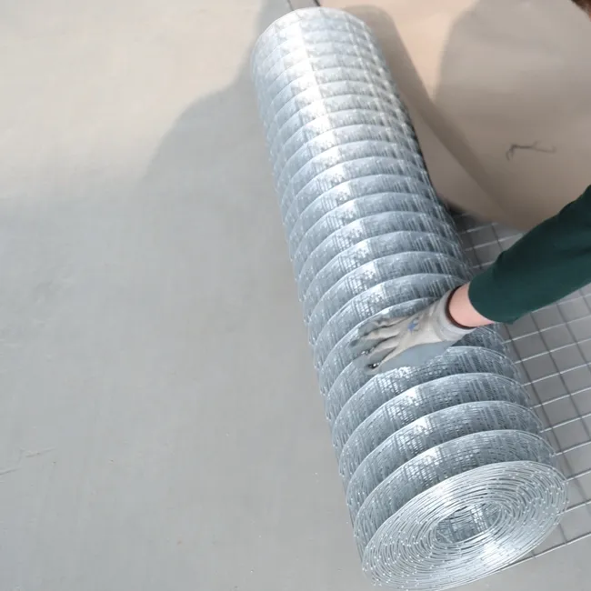 redrawing electro dipped galvanized / Hot Dip Galvanized Welded Wire Mesh roll