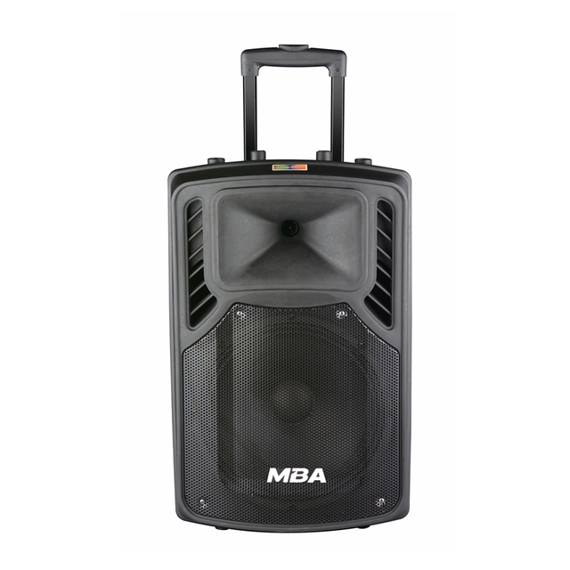 Hot Sell 15" Guangzhou Factory Portable Active Trolley Speaker with Bt and Wireless Microphone