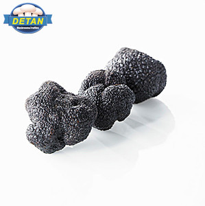 Detan fresco <span class=keywords><strong>trufa</strong></span> negro raro <span class=keywords><strong>hongo</strong></span> comestible - Product Image 1