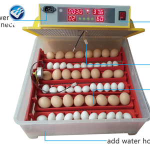 2024 nouveaux produits 96 incubation d'oeufs de poule pour les poussins - Product Image 6