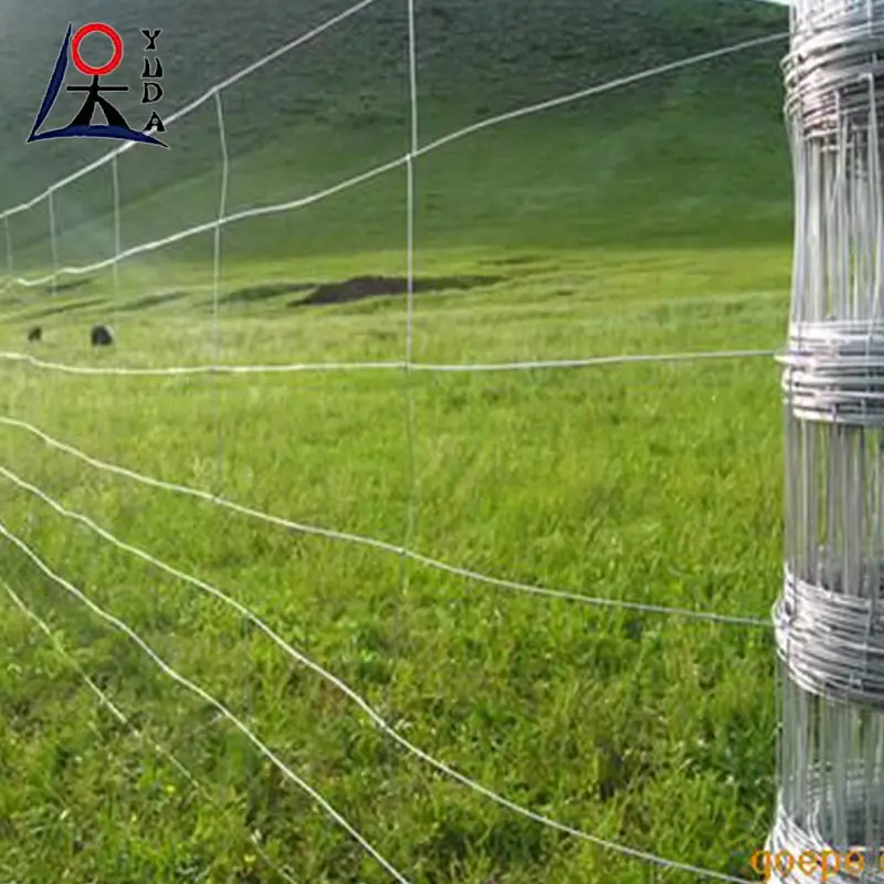 Hot dipped galvanized livestock poultry farm fencing wire mesh