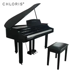 CHLORIS Grand Piano Harga Digital Piano Grand CDG0860 untuk Dijual dengan Digitron Display