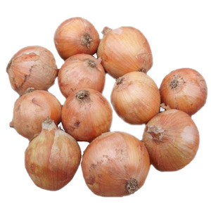 Cipolle gialle fresche del nuovo raccolto dalla Cina - Product Image 5