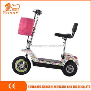 <span class=keywords><strong>ES05</strong></span> 500 W 36 V 12AH scooter eléctrico ce - Product Image 2