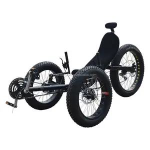 Vente chaude Nouvelle Conception ZZMERCK 500W Adulte Trois Roues Électrique Gros Pneu Tricycle Plage Cruiser Gros Tricycle