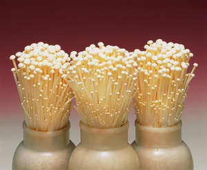 Detan טרי Enoki פטריות יצוא מחיר - Product Image 3