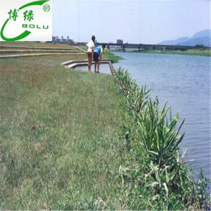 Chine usine hdpe géocellules <span class=keywords><strong>grille</strong></span> de <span class=keywords><strong>gravier</strong></span> <span class=keywords><strong>pour</strong></span> la protection des talus - Product Image 6