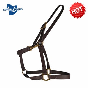 Colorida impermeable de nylon caballo ecuestre Halter con hebilla de latón - Product Image 3