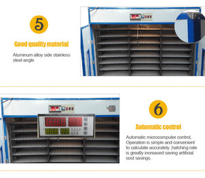 YZITE-24 Tự Động Công Suất Lớn Năng Lượng Mặt Trời Gia Cầm 5000 Lồng Ấp Trứng Để Bán - Product Image 4