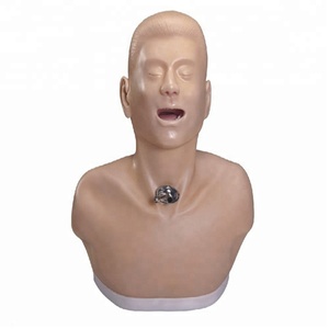 Adult Tracheostomy-care model for use in <span class=keywords><strong>the</strong></span> nurse - Product Image 1