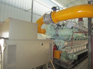 פחם גז גז פחם-לעוצמה: תחנת כוח גז ביו-מסה - Product Image 4