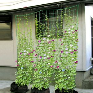 Filet pliable en plastique imperméable pour plantes de jardin, idéal pour les melons, les fleurs de gloire du matin et les plantes grimpantes – Sports et divertissements - Product Image 4