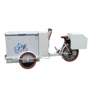 Faire de la monnaie sur mesure pour <span class=keywords><strong>vélo</strong></span>, réfrigérateur électrique, Scooter, chariot d'aliments - Product Image 5