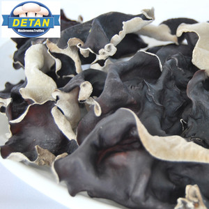 Detan fresco dorso blanco hongo negro - Product Image 1