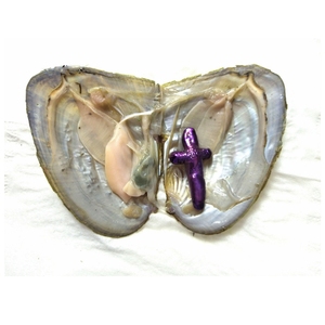 Оптовая продажа жемчужин для аквакультуры, жемчужины в форме устриц - Product Image 2