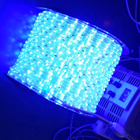 Ruban lumineux LED Duralight rond 2 fils