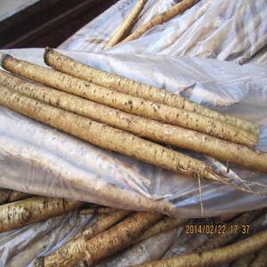 Заводская цена порошок корня лопуха цена корня лопуха - Product Image 3