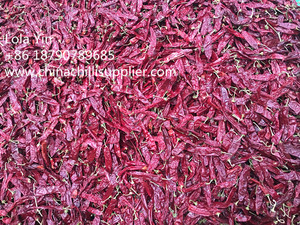 <span class=keywords><strong>Paprika</strong></span> biologique, de très haute qualité, sans logo - Product Image 4