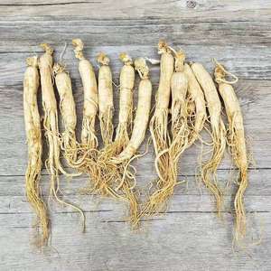 Sampel Gratis Pembeli Organik Akar Ginseng Jilin Ginseng - Product Image 2