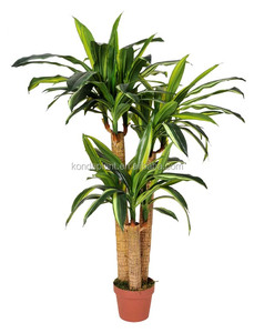 <span class=keywords><strong>Desert</strong></span> <span class=keywords><strong>rose</strong></span> piante artificiali di plastica magnolia albero bonsai di vendita - Product Image 1