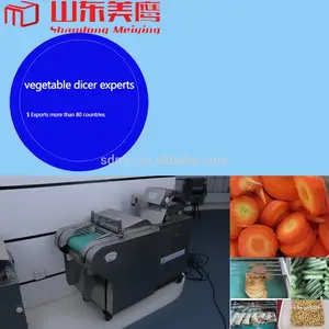 Automatische industrielle apfel schälen machine|apple schäler maschine mit indien edelstahl samosa making machine