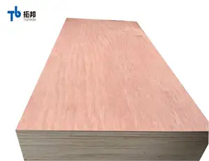 5 layer okoume veneer price plywood with good price