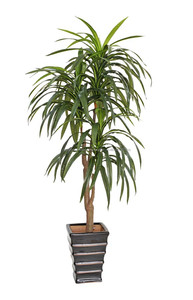 Plantas de maceta planta de <span class=keywords><strong>yuca</strong></span> artificiales pequeño bonsai <span class=keywords><strong>árbol</strong></span> artificial plantas - Product Image 3