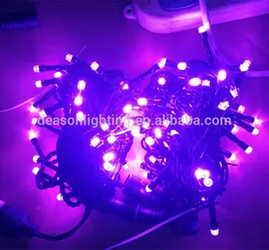 Led Garland Outdoor