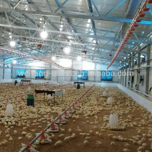 Moderna maquinaria agrícola in China nombre de aves de corral granjas para asar pollos - Product Image 5