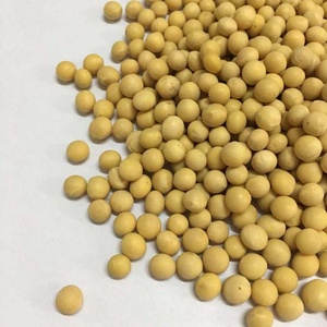NON-GMO semi di <span class=keywords><strong>Soia</strong></span> Semi di <span class=keywords><strong>Soia</strong></span> - Product Image 4