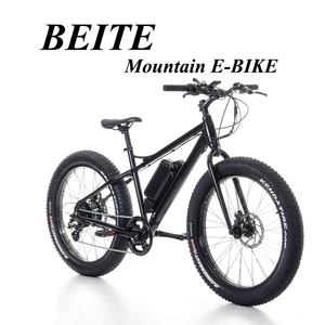Alta Velocidad neumático bicicleta eléctrica con CE aprobó ciclo elektrokolo elcyklar <span class=keywords><strong>elcykel</strong></span> - Product Image 4