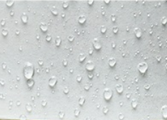 คราฟท์สีขาว