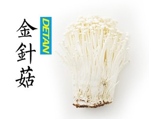 Fabrication de champignons frais flammulina velutipes/<span class=keywords><strong>enokitake</strong></span>/champignons aiguille - Product Image 1
