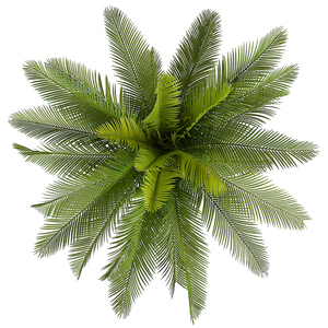 Producto Chino de Calidad, Planta Artificial de Cycas Revoluta, Palmera de Sagú - Product Image 2