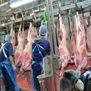 Koyun mezbaha ekipmanları keçi helal Abattoir makinesi kesim bıçağı