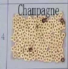 Champagne