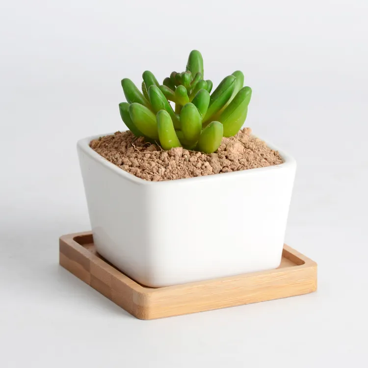 New best selling wholesale square white ceramic mini succulent plant pot customized