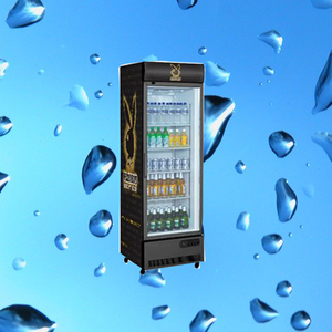Sanye consumo de baja potencia vertical bevergage <span class=keywords><strong>lg</strong></span> sola puerta del refrigerador - Product Image 2